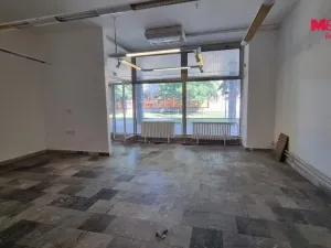 Pronájem obchodního prostoru, Orlová - Lutyně, F. S. Tůmy, 156 m2