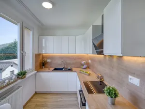 Pronájem bytu 2+1, Cvikov - Cvikov II, Sídliště, 59 m2