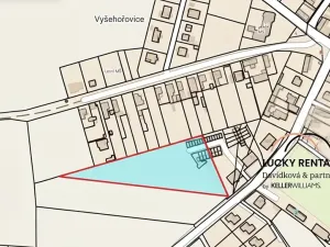 Prodej podílu pozemku pro bydlení, Vyšehořovice, 7383 m2
