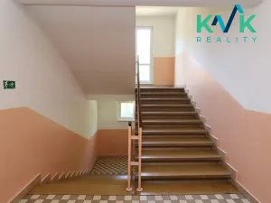 Pronájem bytu 2+1, Ostrov, Mánesova, 58 m2