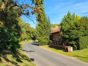 Prodej rodinného domu, Vysoká, 250 m2