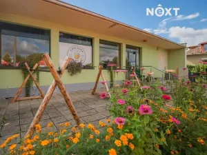 Prodej obchodního prostoru, Dolní Studénky, 160 m2