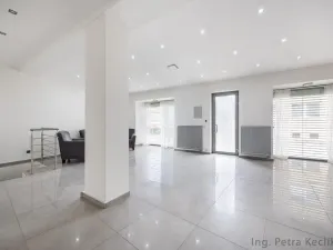 Prodej bytu 5+kk, Brno - Slatina, Tilhonova, 154 m2