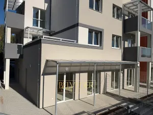 Prodej bytu 2+kk, Teplice, Albrechtova, 67 m2