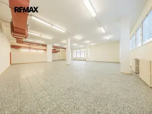 Pronájem obchodního prostoru, Štětí, Obchodní, 460 m2