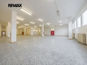 Pronájem obchodního prostoru, Štětí, Obchodní, 460 m2