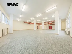 Pronájem obchodního prostoru, Štětí, Obchodní, 1366 m2