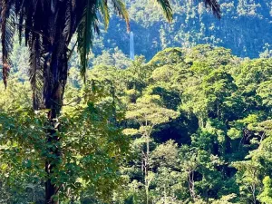 Prodej rodinného domu, La Ceiba, Honduras, 4080 m2