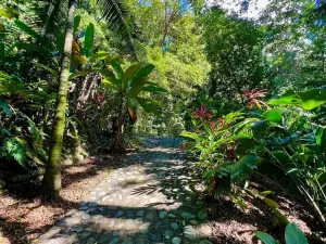 Prodej rodinného domu, La Ceiba, Honduras, 4080 m2