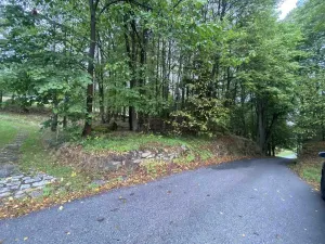 Prodej pozemku, Benešov nad Černou - Kuří, 3849 m2