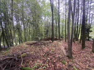Prodej pozemku, Benešov nad Černou - Kuří, 3849 m2