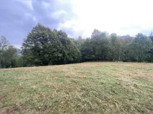 Prodej pozemku, Benešov nad Černou - Kuří, 3849 m2