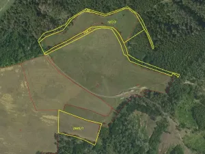 Prodej pozemku, Letovice, 25345 m2