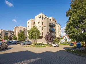 Prodej bytu 2+kk, Plzeň, U Velkého rybníka, 80 m2