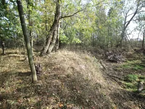 Prodej pozemku, Dolní Břežany, Keltská, 3508 m2