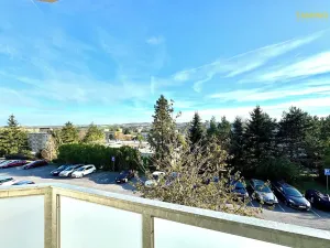 Prodej bytu 1+1, Třebíč, Moskevská, 32 m2