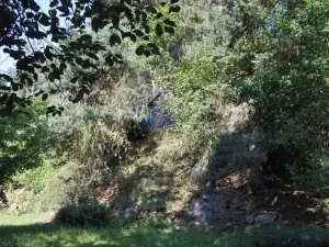 Prodej lesa, Strunkovice nad Volyňkou, 2510 m2