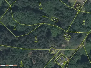 Prodej lesa, Strunkovice nad Volyňkou, 2510 m2