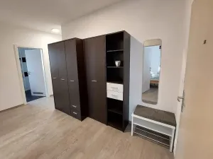 Pronájem bytu 3+kk, Ostrava - Moravská Ostrava, Důlní, 74 m2