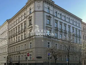 Prodej bytu 2+kk, Praha - Nové Město, Wenzigova, 56 m2