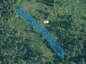 Dražba lesa, Pačejov, 1363 m2