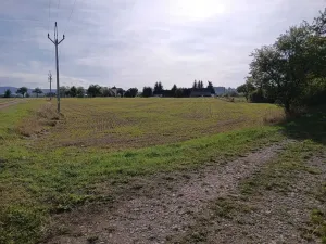 Dražba pole, Vrbice, 9030 m2