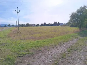 Dražba pole, Vrbice, 9030 m2