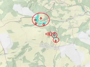Prodej lesa, Malšovice, 62626 m2