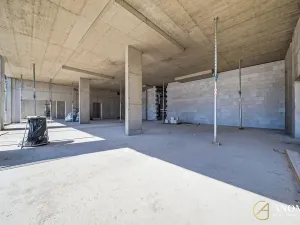 Prodej obchodního prostoru, Brno, 236 m2