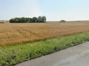 Prodej pole, Neuměřice, 24800 m2