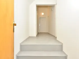Pronájem bytu 1+kk, Praha - Nusle, Oldřichova, 29 m2