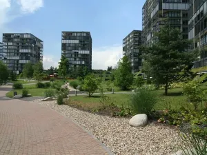 Pronájem bytu 2+kk, Praha - Žižkov, Pitterova, 70 m2