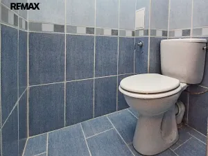 Pronájem bytu 1+1, Plzeň, Husova, 44 m2
