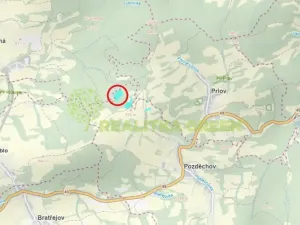 Prodej lesa, Pozděchov, 22655 m2
