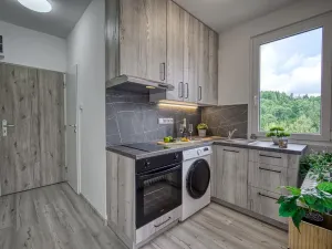 Pronájem bytu 1+kk, Tanvald, Radniční, 25 m2