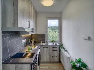Pronájem bytu 1+kk, Tanvald, Radniční, 25 m2