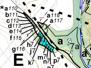 Dražba lesa, Horní Dunajovice, 237 m2