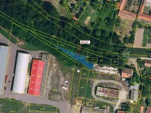 Dražba lesa, Horní Dunajovice, 391 m2