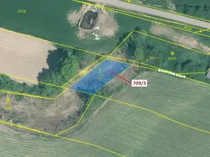 Dražba lesa, Osek, 301 m2