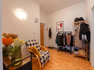 Pronájem bytu 1+1, Olomouc, Palackého, 35 m2