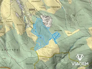 Prodej podílu lesa, Bojkovice, 3337 m2