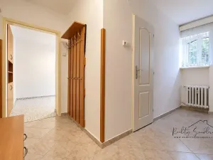 Pronájem bytu 1+1, Přerov, Č. Drahlovského, 45 m2