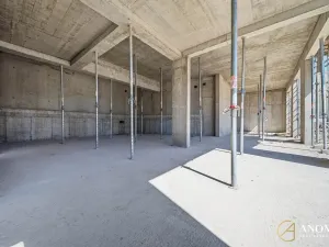 Prodej obchodního prostoru, Brno, 259 m2