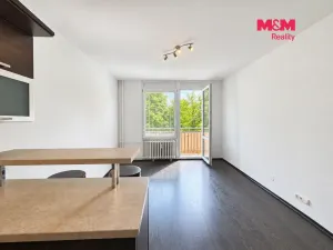 Prodej bytu 2+1, Hradec Králové - Nový Hradec Králové, Mandysova, 59 m2