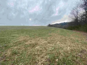 Prodej pole, Mírová pod Kozákovem - Vesec, 14714 m2
