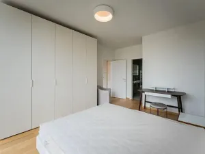 Pronájem bytu 2+kk, Praha - Smíchov, Holečkova, 71 m2