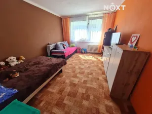 Prodej bytu 2+1, Veselí nad Lužnicí, K Zastávce, 61 m2