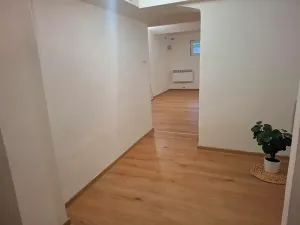 Prodej obchodního prostoru, Brno, Rokycanova, 62 m2