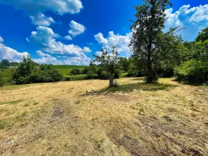 Prodej pozemku, Zadní Střítež, 1357 m2