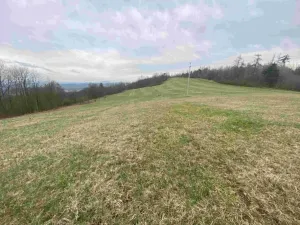Dražba louky, Mírová pod Kozákovem, 14714 m2